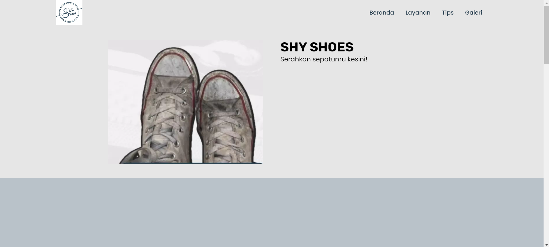 shyshoes